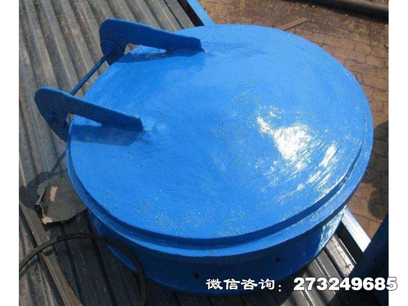 博爾塔拉州復(fù)合材料防倒灌拍門