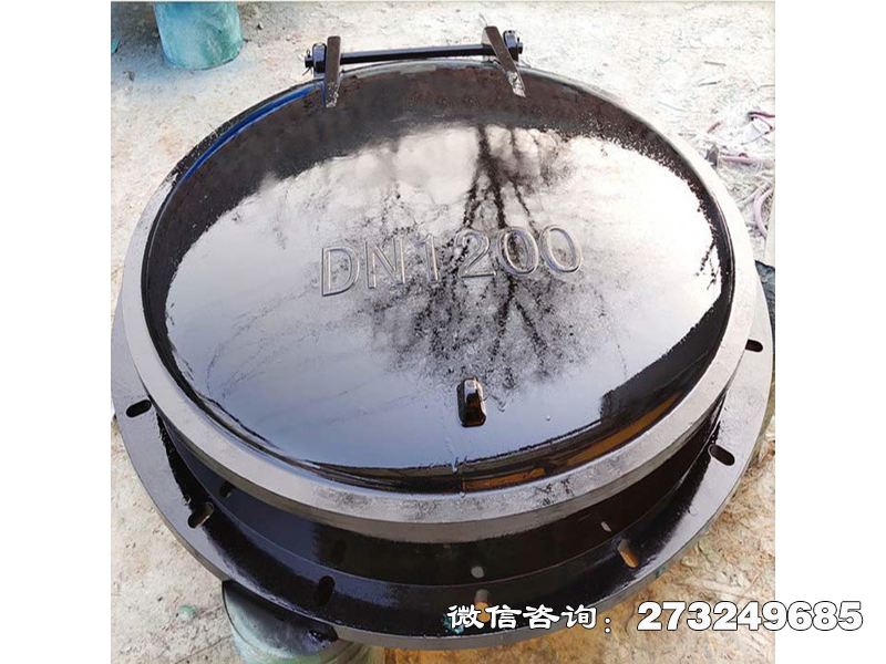 博爾塔拉州防倒灌玻璃鋼拍門