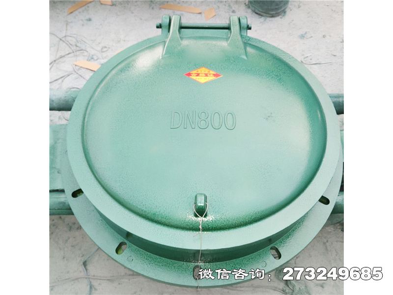 博爾塔拉州玻璃鋼自動(dòng)啟閉拍門
