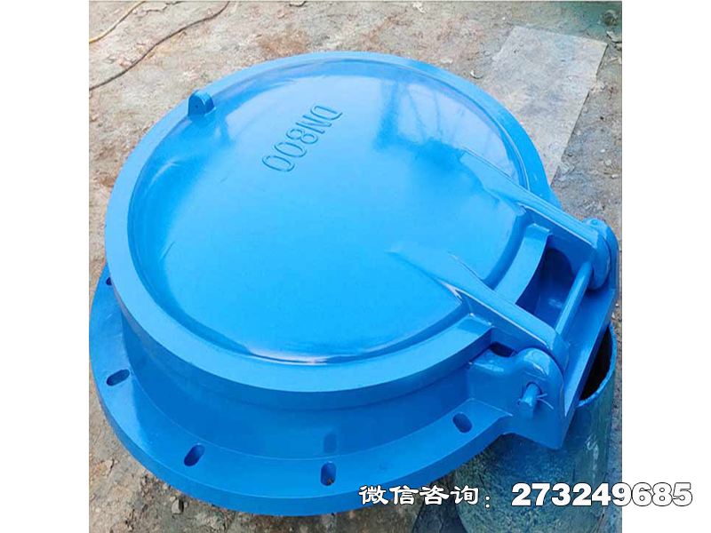 博爾塔拉州單向水流控制拍門