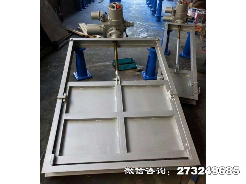 通遼316L不銹鋼機(jī)閘一體閘門