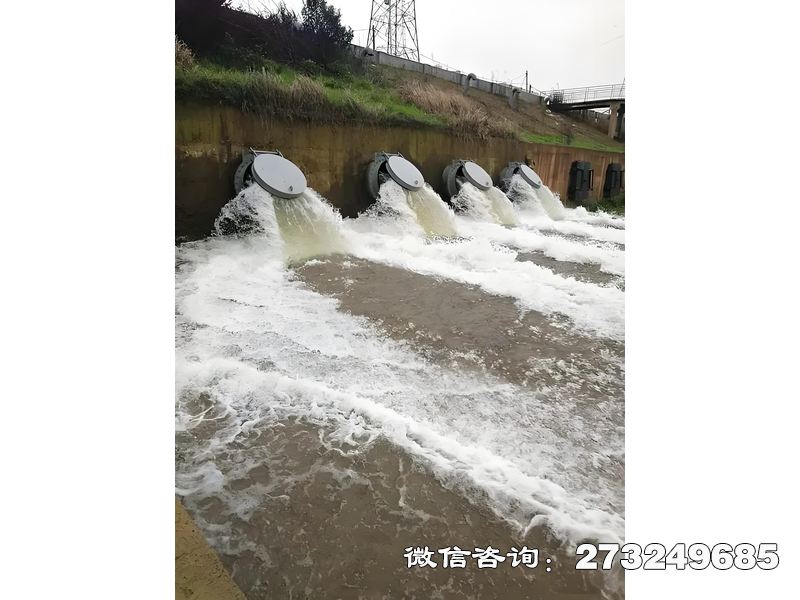 如皋排水管網(wǎng)末端潮門拍門