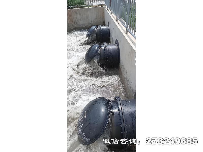 如皋污水處理廠潮門拍門