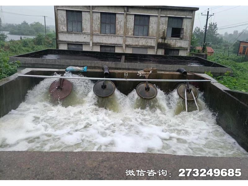 博爾塔拉州行洪區(qū)退水口潮門拍門