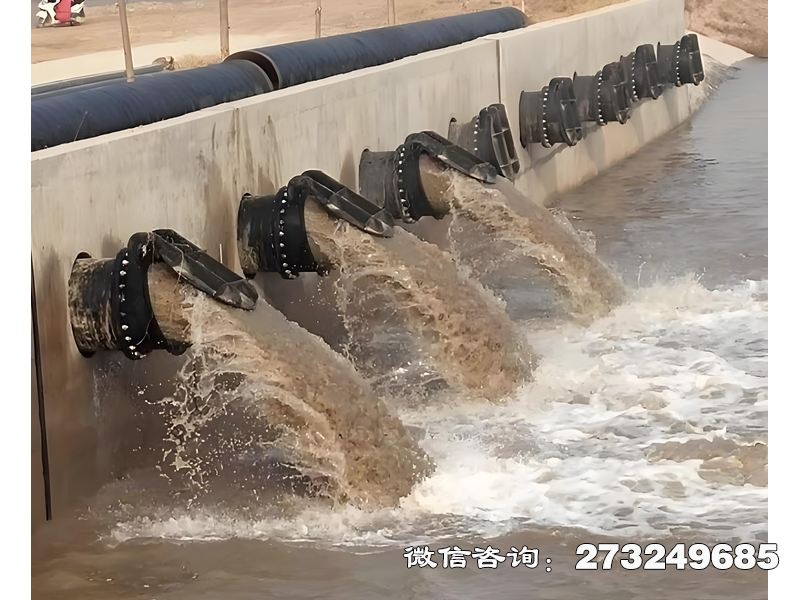 博爾塔拉州蓄滯洪區(qū)分洪閘潮門拍門