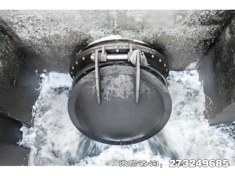 通遼河道排水潮門拍門