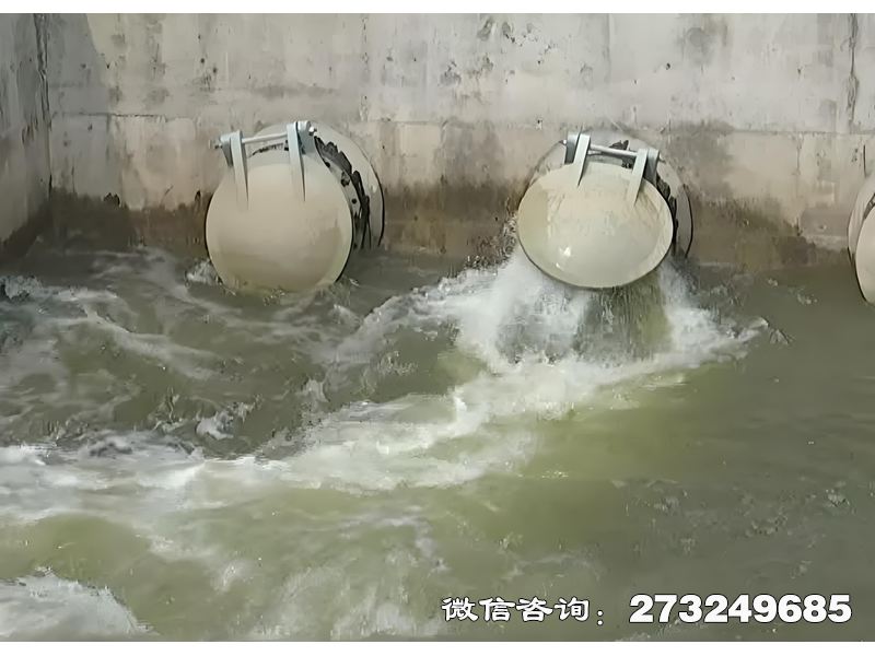 鄂州河道生態(tài)護(hù)岸排水潮門拍門