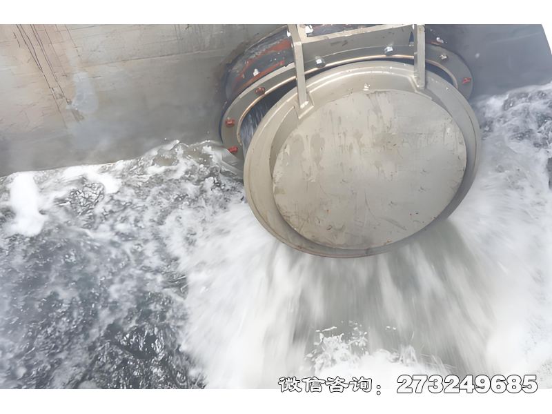 通遼海堤排水拍門