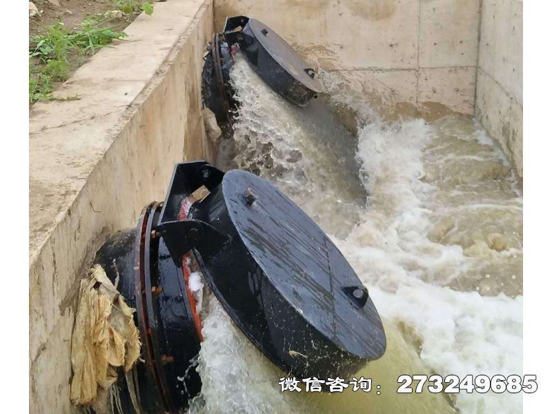 通遼海水防倒灌拍門