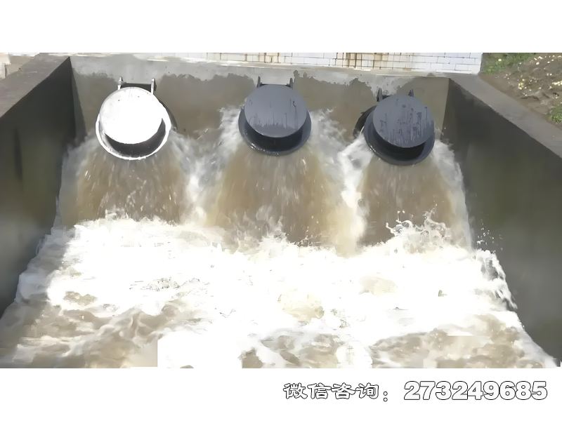 通遼河口防潮拍門