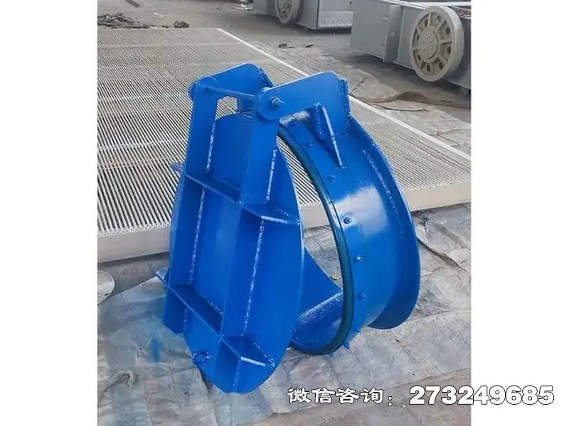 博爾塔拉州水庫鋼制防倒灌拍門