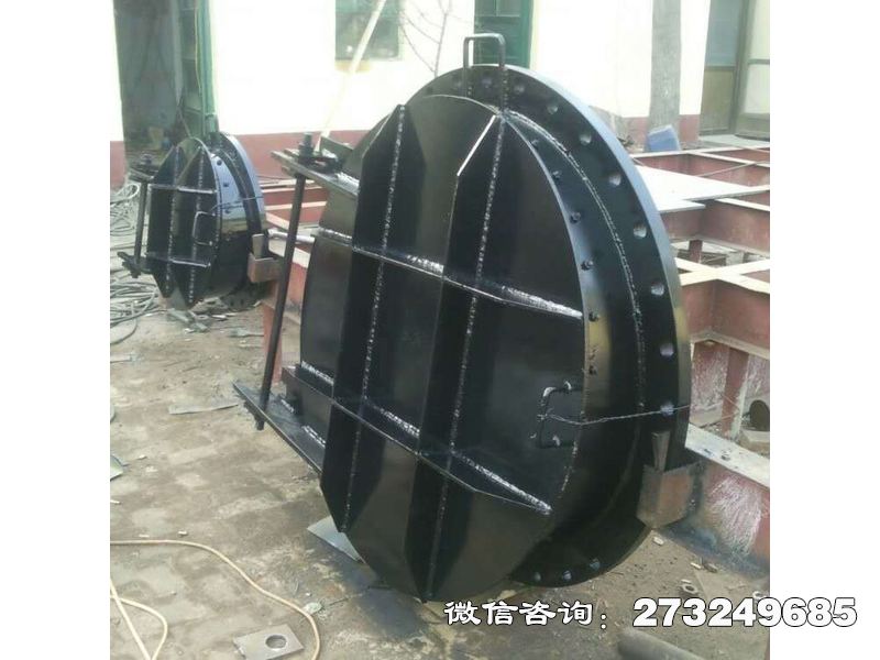 博爾塔拉州防汛部鋼制應(yīng)急拍門