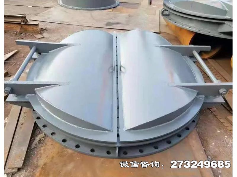 博爾塔拉州防潮鋼制海堤拍門