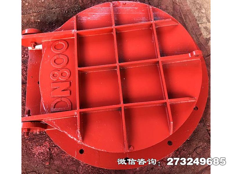 博爾塔拉州止回鋼制管道拍門