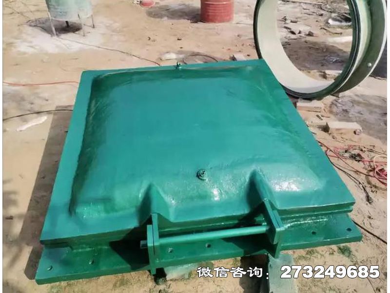 博爾塔拉州河道鋼制排水拍門